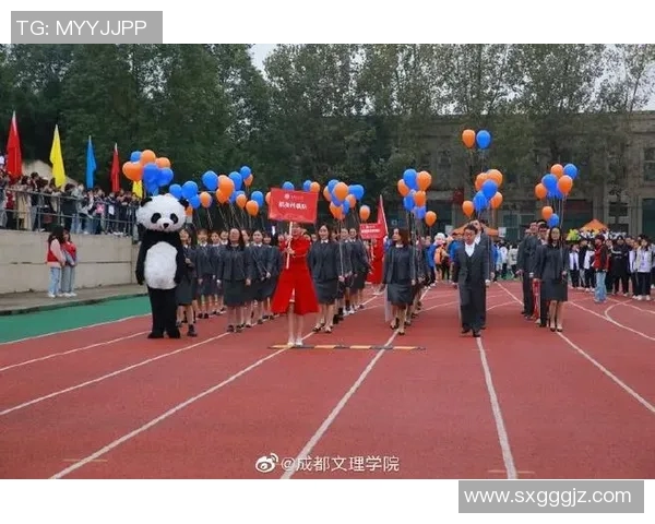 足球场上的激情与梦想交织成的诗篇 足球场上的激情与梦想交织成的诗篇