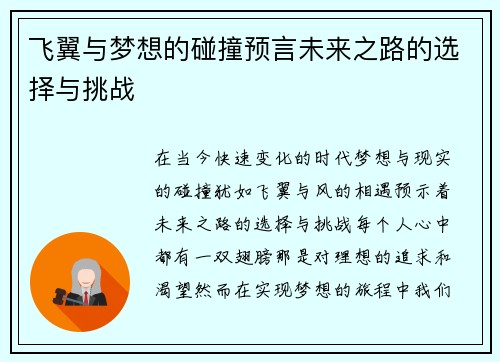 飞翼与梦想的碰撞预言未来之路的选择与挑战