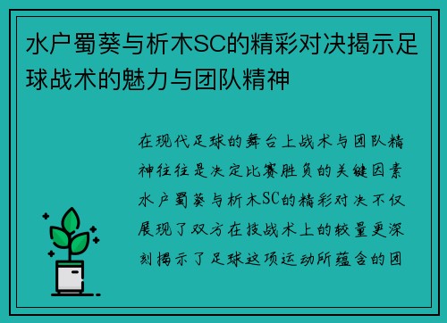 水户蜀葵与析木SC的精彩对决揭示足球战术的魅力与团队精神