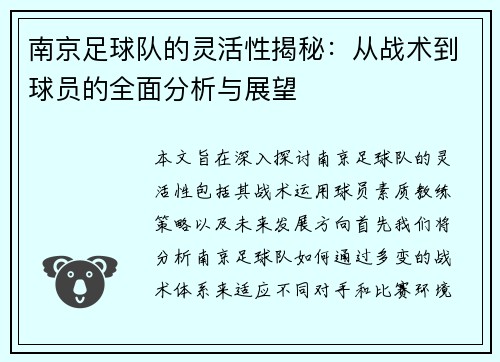南京足球队的灵活性揭秘：从战术到球员的全面分析与展望