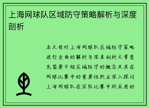 上海网球队区域防守策略解析与深度剖析