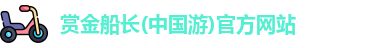 赏金船长